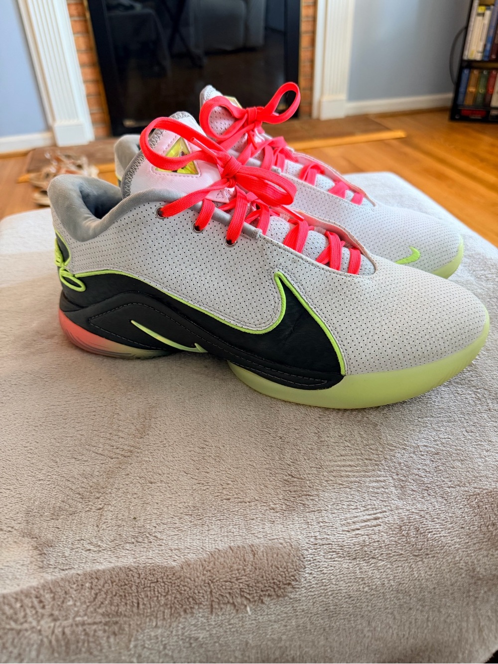 Nike Lebron XXll
